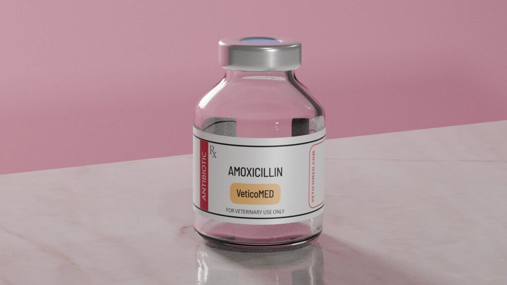 Amoxicillin Injection Vial